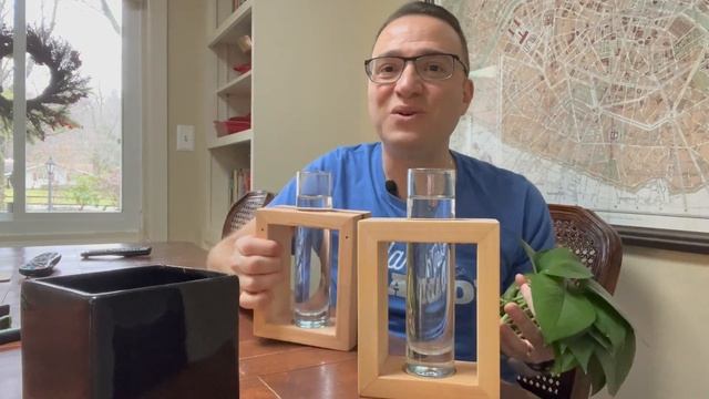 Pothos Propagation: Easiest way to a FULL PLANT from SCRATCH! смотреть онлайн