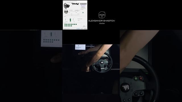 Проверка руля для Авито TMX