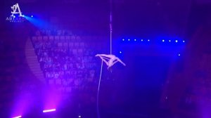 ArtArea Project Show: Aerial Gymnastics