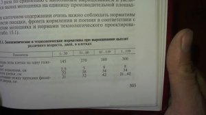 Клетка для кур-несушек: размеры и вместимость