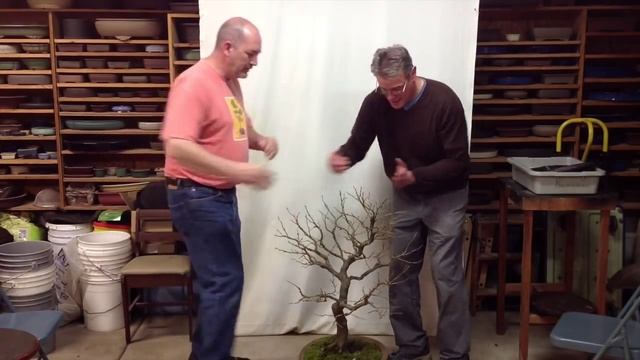 Development of Persian Parrotia with Arthur Joura - Part2 смотреть онлайн