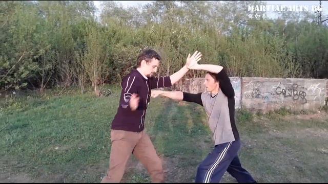 Иньчжао цюань Разбор техник смотреть онлайн