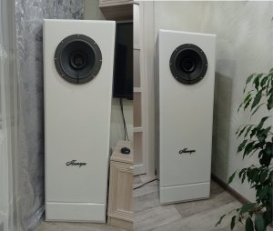 Колонки на широкополосниках 25гд-18/22