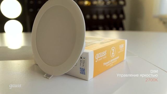 Обзор даунлайтов Smart Light | Умные встраиваемые светильники Gauss смотреть онлайн
