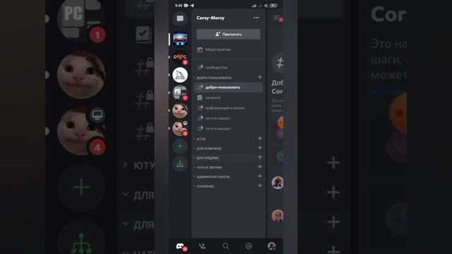 Делаю свой Дискорд канал! (обязательно посмотрите описание) сорри я удалил что бы обложку сделать смотреть онлайн
