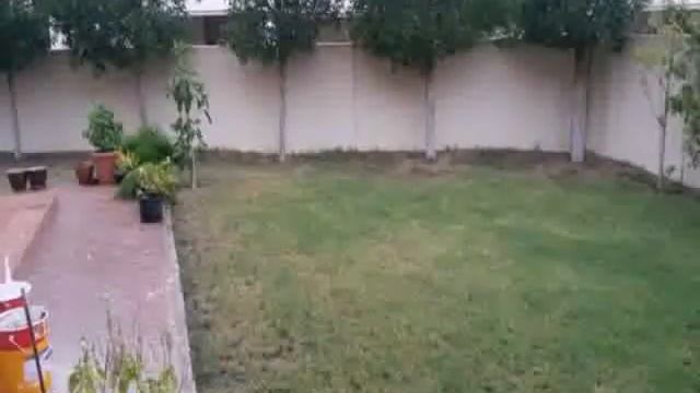 Arabian Ranches ,Al Reem, 3Br+Study Type 3M,Ready Garden,Ready To Move ,Rent 175K смотреть онлайн