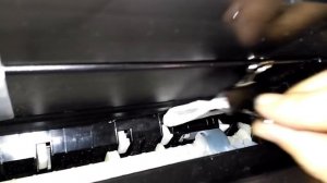 Струйный принтер EPSON не захватывает бумагу