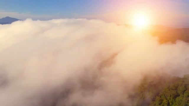 "Извинения". 19 сентября. Мелоди Битти. Ежедневник для созависимых. смотреть онлайн