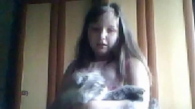 домашние животные