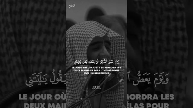 Surah Al-Furqan [S25:V25-29] | Muhammad Al-Luhaidan #quran #islam #quranic смотреть онлайн