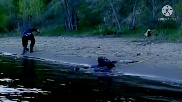 Рыбалка с берега на судака. На новый спиннинг АРГУМЕНТ от Нарвала смотреть онлайн