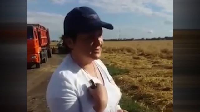 Разыскивается царица полей Мартынова смотреть онлайн