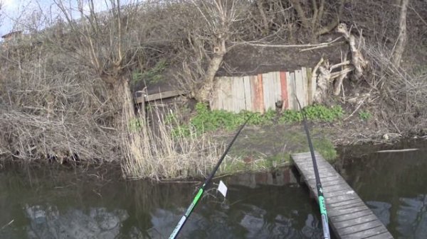 Mifine Magician чи Mifine Falai