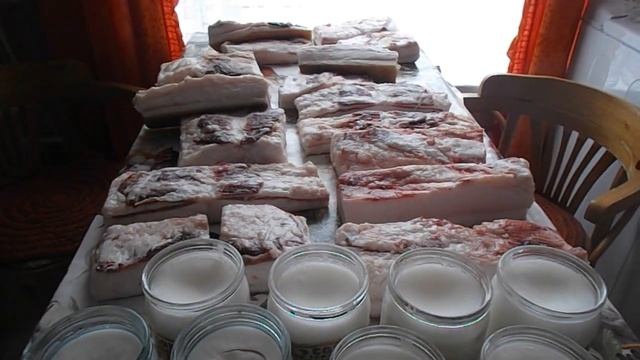 Обзор сала и мяса от вьетнамской мраморной свиньи в возрасте 1г 2мес. смотреть онлайн