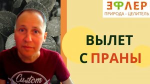 ЗИНАИДА БАРАНОВА ест уже ВСЁ ПОДРЯД? В чём причина срыва с ПРАНОЕДЕНИЯ? ГОЛОД не ОЧИЩАЕТ.