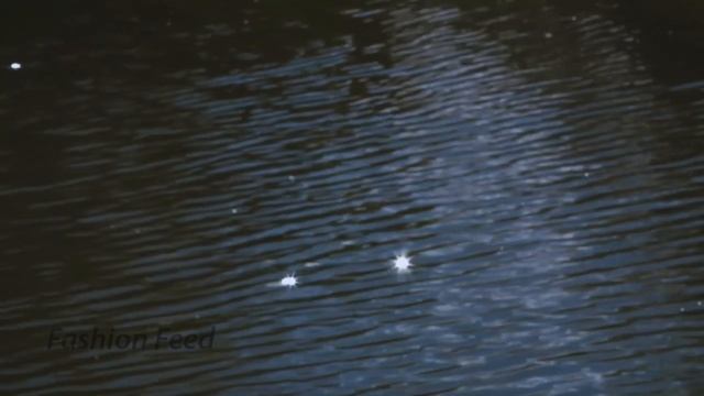 Badgley Mischka | Spring/Summer 2021 | NYFW - Digital Show смотреть онлайн