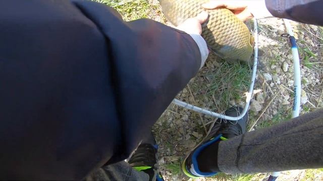 Вот так РЫБАЛКА! НА КАРАНТИНЕ 2020г. смотреть онлайн