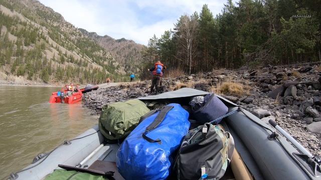 Весна на Горном Алтае! Открытие сезона 2022/Весенняя Катунь и цветенье маральника #1 смотреть онлайн