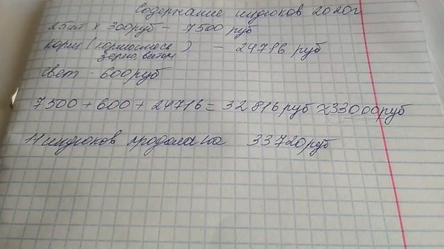 Выгодно или нет держать индюков//Сколько можно заработать на индюках. смотреть онлайн