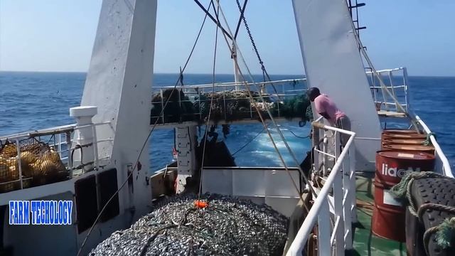 Amazing Commercial Fishing Trawl On The Big Boat. Net Fishing Hundreds tons of fish caught on Sea смотреть онлайн