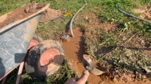 Как я бурил абиссинскую скважину в глине