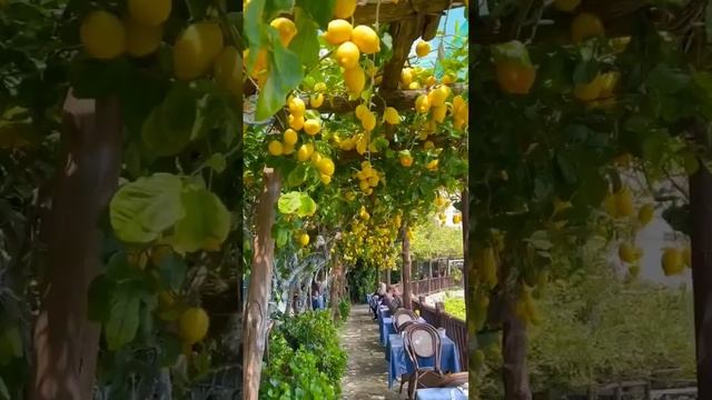 Прайано — небольшой город, расположенный на скалистых утесах смотреть онлайн