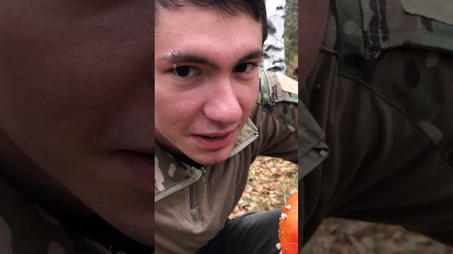 Это мой лес! Это мои грибы! #путешествия # #сергейогнев #лес смотреть онлайн