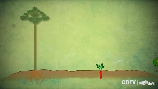 Partes de una planta | Camaleón смотреть онлайн
