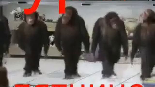 Танец доброго утра. смотреть онлайн