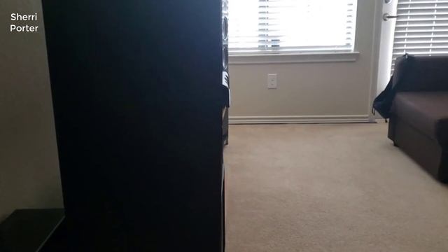 Polk Audio Signature Series S55 Speaker Review смотреть онлайн
