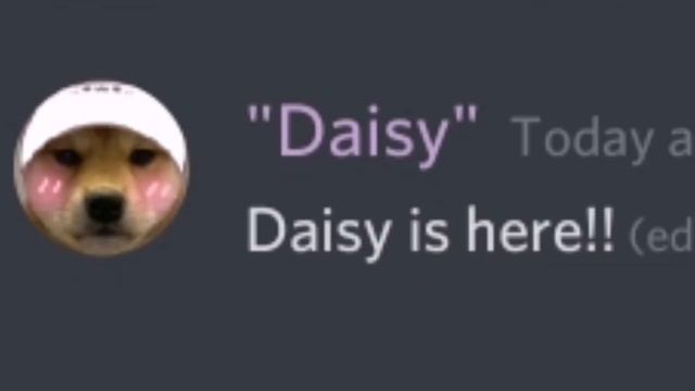 first video for Daisy! смотреть онлайн