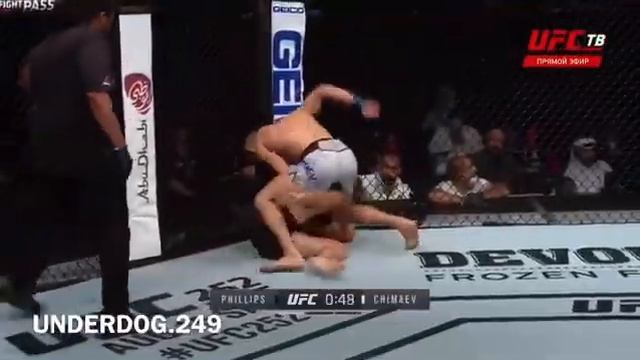 Хамзат Чимаев смотреть онлайн