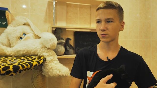 Всем животным нужен дом! – краткая версия смотреть онлайн