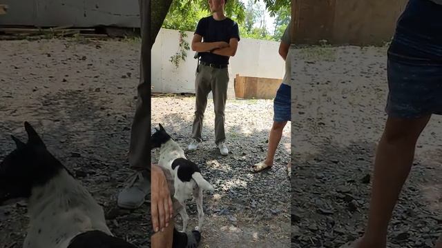 Переговоры с мастерами по скважине в приюте смотреть онлайн