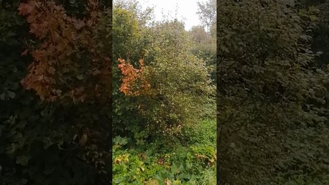 АНЕКДОТ. ОДНОКЛАССНИКИ. смотреть онлайн