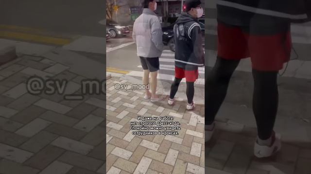Привычки у корейцев, которые не понравились бы «нашим» смотреть онлайн