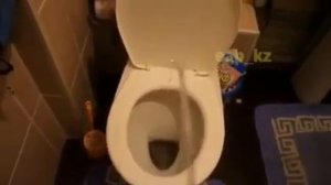 Как ходят в туалет