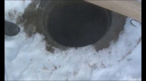 Бактерии для выгребной ямы. 1 ЧАСТЬ