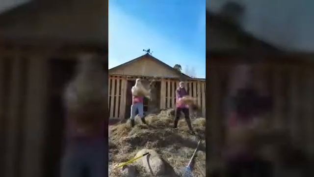 Субботник на конюшне 《Конный Дворик》. Девчонки отжигают))) смотреть онлайн