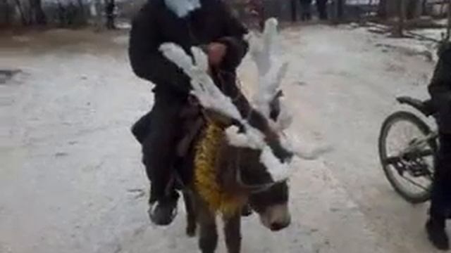 Самый лучшый Дед мороз в Казахстане(2) смотреть онлайн