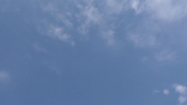 Голуби ушли покрылись. The pigeons went up, they can't be seen смотреть онлайн