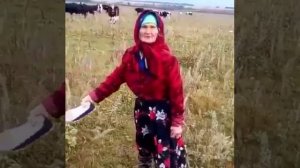 Рафаэль хатыны