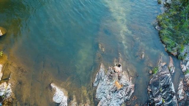 Pine Ridge Mountain, Belize смотреть онлайн