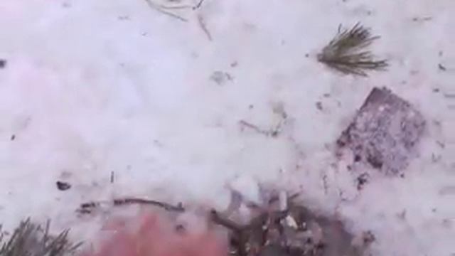 Бутылка со льдом в костре смотреть онлайн