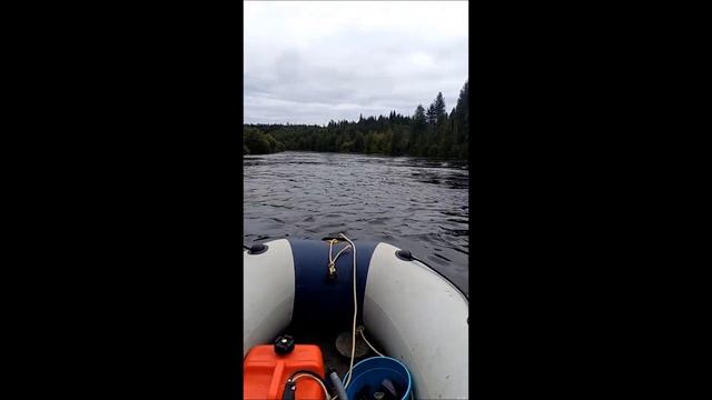 Покатушки!!! Hidea 9.8/ Ривьера 3200 СК