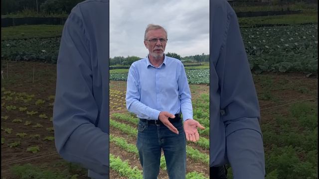 Подкормка овощных культур. смотреть онлайн