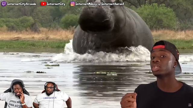 Animals with BLACK AIR FORCE ENERGY смотреть онлайн