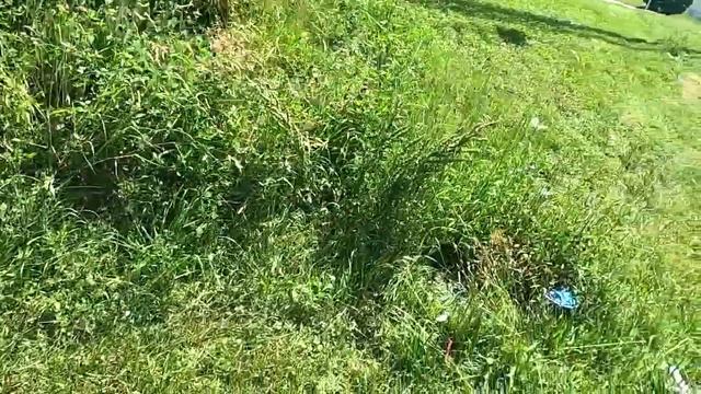 Extreme School Makeover!: EXTREMELY OVERGROWN GRASS and EDGING at a school that looks ABANDONED! смотреть онлайн