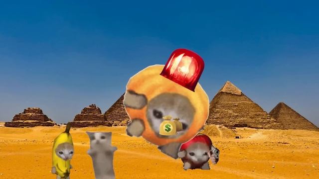 Happy Cat Tiktok Compilation #1 | XoSen7