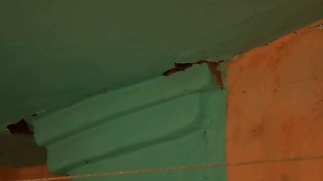 Змея в доме смотреть онлайн